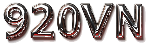 920vn logo